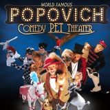 Comedy Pet Theater Tickets